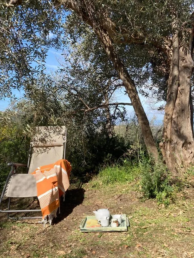 דירות קסטל דל פיאנו Il Peperino 0*,